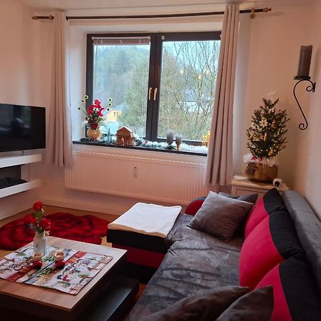Ferienwohnung Haus Schoeneck Schonecken Luaran gambar