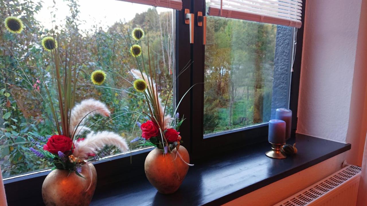 Ferienwohnung Haus Schoeneck Schonecken Luaran gambar