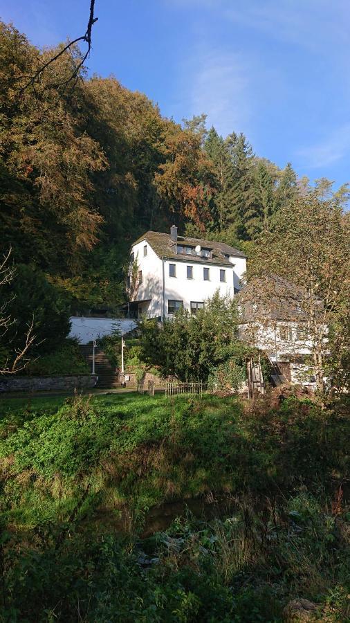 Ferienwohnung Haus Schoeneck Schonecken Luaran gambar